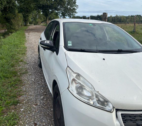Peugeot 208 société 2P